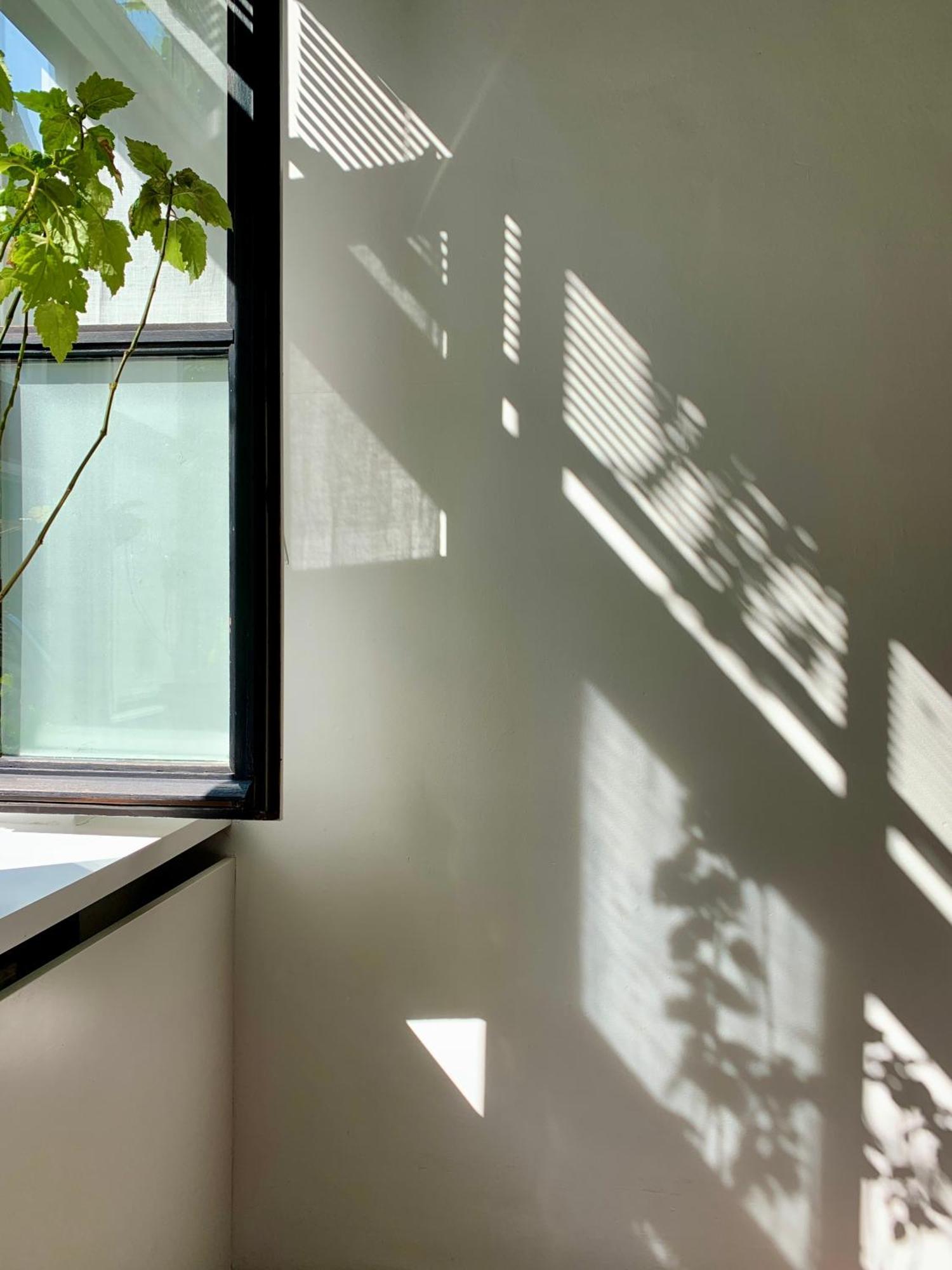 Heaven At 11, Your Deluxe Studio With Personal Bathroom, Kitchenette & Terrace Gent Exteriör bild